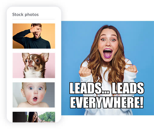 Variety of stock photos available for use in PicMonkey: Happy white woman, funny dog, man covering one eye, shocked baby, asian woman.