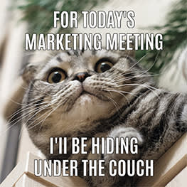 Meme of funny cat with text "For today's marketing meeting I'll be hiding under the couch."