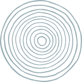 Concentric Circle Texture